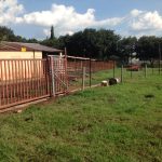 Free Standing Electric Fence (5)
